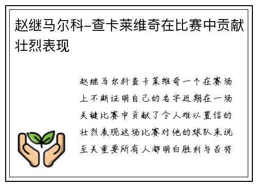 赵继马尔科-查卡莱维奇在比赛中贡献壮烈表现